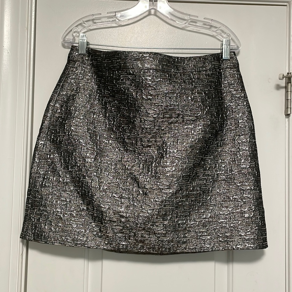 Banana Republic Silver Mini Skirt